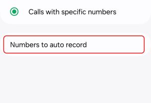 انتخاب گزینه Numbers to Auto Record
