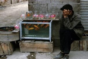 مرد ماهی فروش تنها در تهران سال ۱۳۳۹+عکس