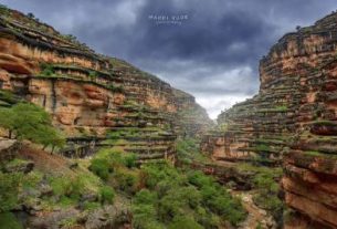 تنگه شیرز دره‌ای رویایی و سرسبز در استان لرستان+عکس
