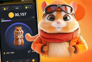 همه چیز درباره بازی کریپتویی همستر کامبت [با کد مورس و دیلی کمبو امروز ۱۹ خرداد]