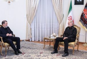محسن رضایی با مسعود پزشکیان در دفتر ریاست‌جمهوری دیدار کرد