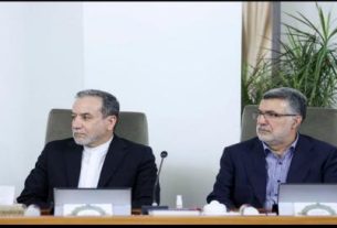 دو نفره دکتر عراقچی و دکتر ظفرقندی در جلسه هیئت دولت منتشر شد