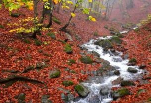 جاذبههای پاییزه تالش گیلان: راهنمای کامل سفر به طبیعت رنگارنگ شمال ایران