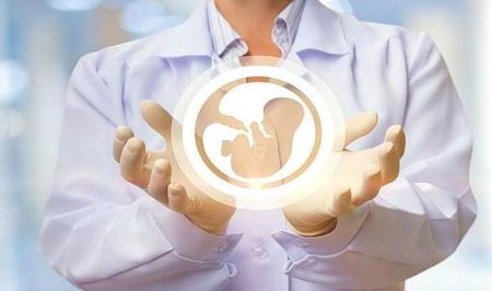 غذاهای موثر برای افزایش نازایی: راهنمای کامل با اینفوگرافیک