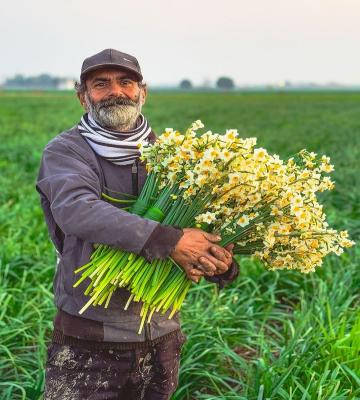 ی é از تلاش و : پدر زحمتکش در میان گلهای نرگس