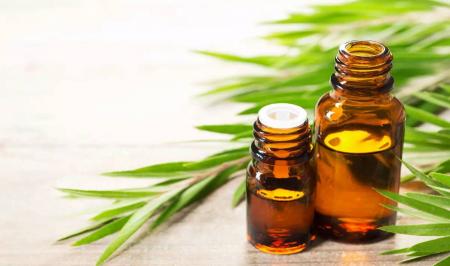 معرفی بهترین روغنهای اسسی و گیاهی برای ماساژ درمانی و اثرات درمانی آنها