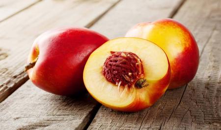 فواید شلیل برای کاهش چربی خون و کنترل دیابت؛ هشدار حیاتی درباره سمیت هسته