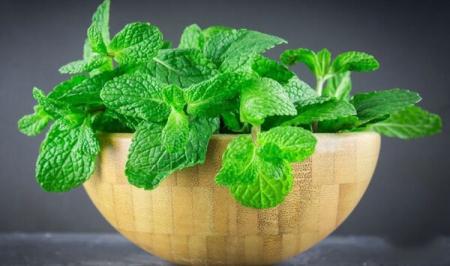 بهترین خوراکیهای طبیعی برای درمان تهوع و استفراغ