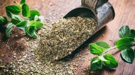 آویشن و اسطوخودوس: دو گیاه معجزهدار برای درمان سرفه