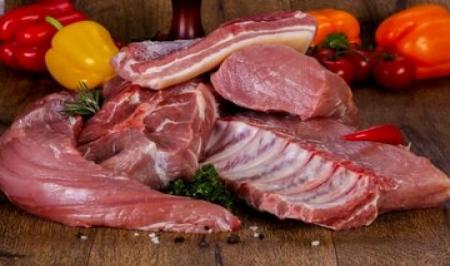 هشدار جدی تب کریمهکنگو در بوشهر: راهنمای پیشگیری از ویروس خونریزی