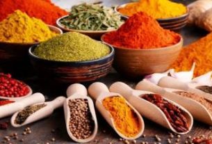 راهنمای تغذیه تابستانی: غذاهای ممنوع و مجاز برای حفظ تعادل مزاج در روزهای گرم