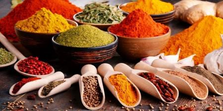 راهنمای تغذیه تابستانی: غذاهای ممنوع و مجاز برای حفظ تعادل مزاج در روزهای گرم