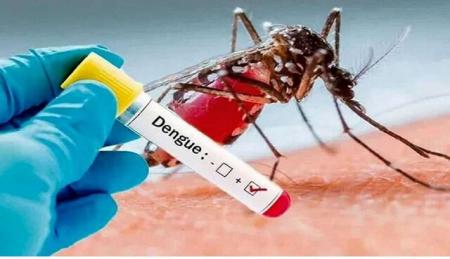 هشدار بهداشتی تب دنگی و پیشگیری در هرمزگان
